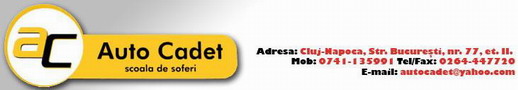 Auto Cadet